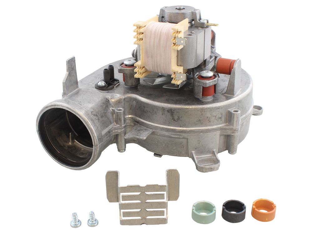 فن وایلانت اورجینال