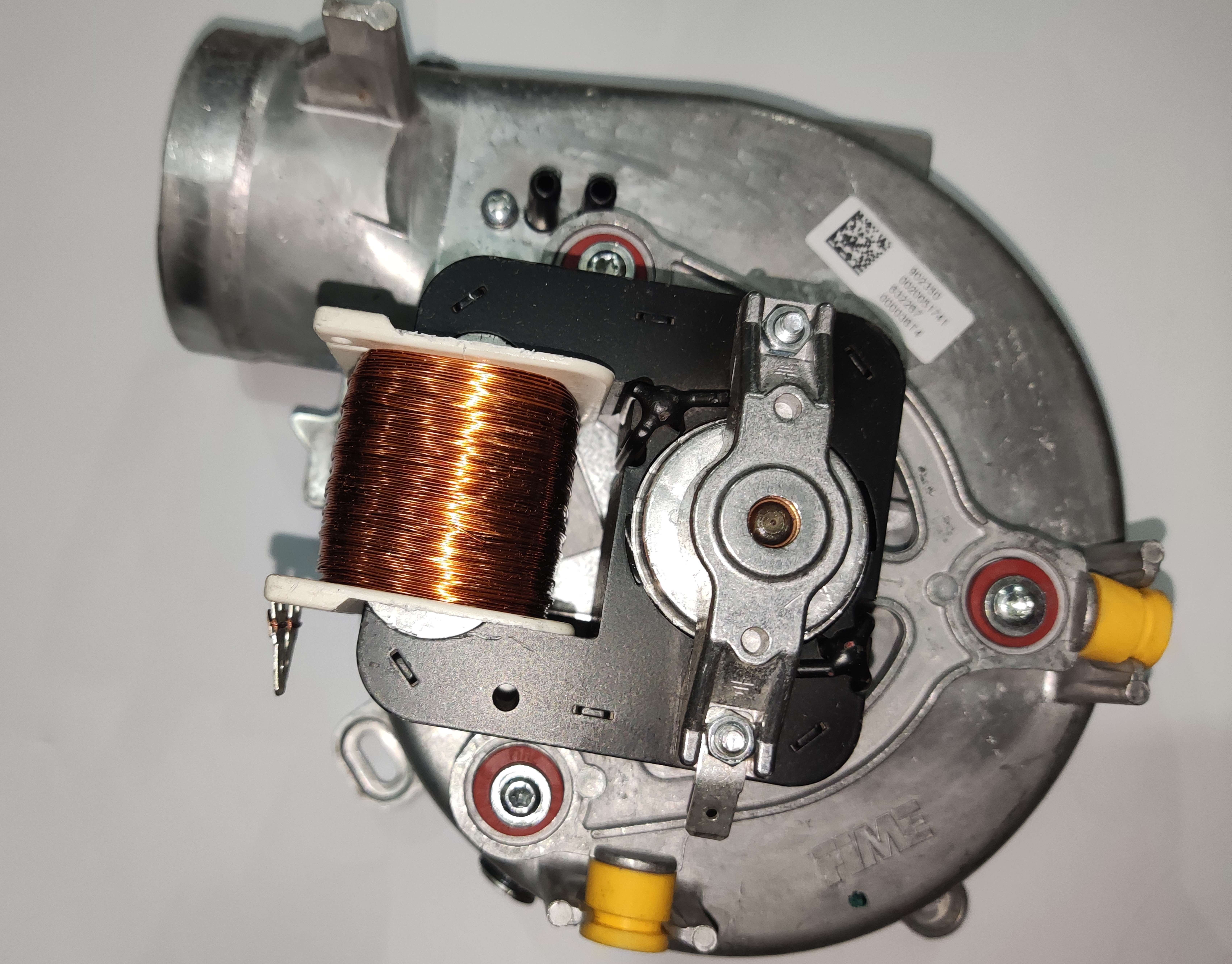 فن وایلانت اورجینال